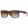 Ray-Ban 4165 JUSTIN kolor 710/13 rozmiar 51