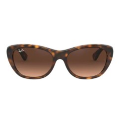 Ray-Ban 4227 kolor 710/13 rozmiar 55