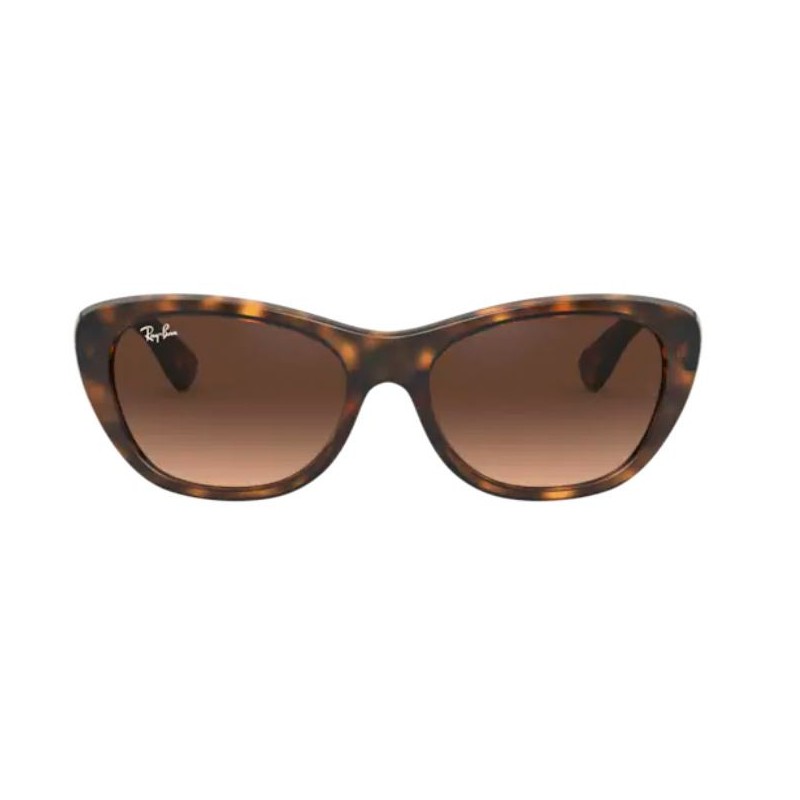 Ray-Ban 4227 kolor 710/13 rozmiar 55 Ray-Ban 4227 kolor 710/13 rozmiar 55