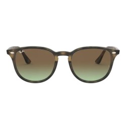 Ray-Ban 4259 kolor 731/E8 rozmiar 51