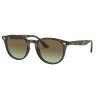 Ray-Ban 4259 kolor 731/E8 rozmiar 51