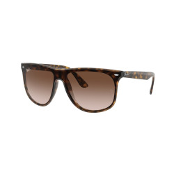 Ray-Ban 4447N kolor 710/13...