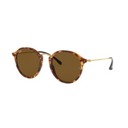 Ray-Ban 2447 kolor 1160...