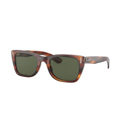 Ray-Ban 2248 kolor 954/31...