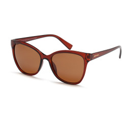 POLAR VISION 20242 kolor C...