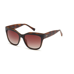 Solano SS20946 kolor B...