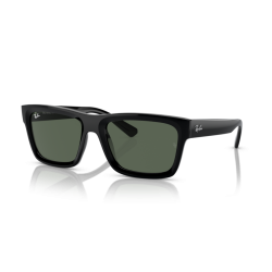 Ray-Ban 4396 kolor 667771...