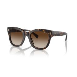 Ralph 5301U kolor 500313...