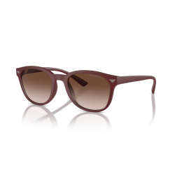 Emporio Armani 4227U kolor...