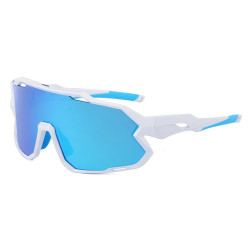 ICON PTS8806 kolor C3...