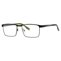 BERGMAN 5553 kolor C10...