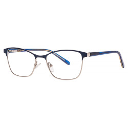 BERGMAN 4558 kolor C6...