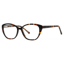 BERGMAN 4901 kolor C5...