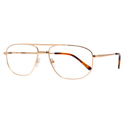 BERGMAN 6710 kolor C1...