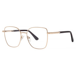 BERGMAN 4569 kolor C10...