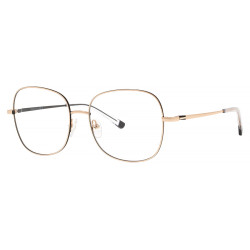 BERGMAN 4003 kolor C3...