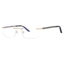 BERGMAN 4172 kolor C2...