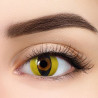All Vue Crazy Plus - 2 soczewki Cat eye yellow