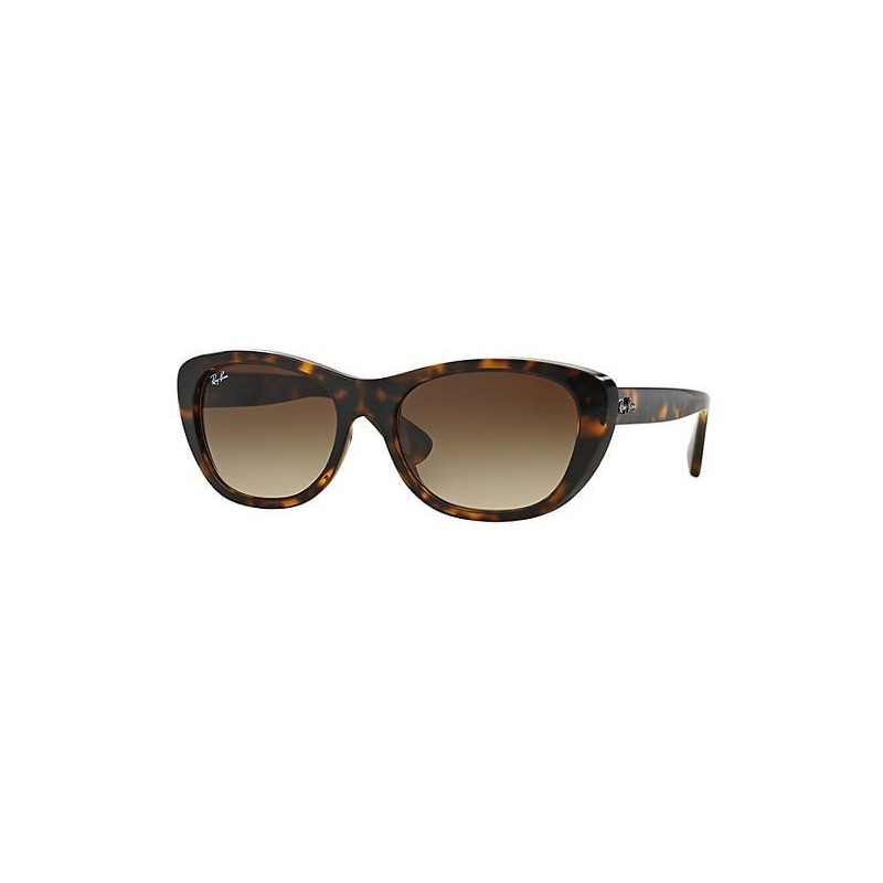 Ray-Ban 4227 kolor 710/13 rozmiar 55 Ray-Ban 4227 kolor 710/13 rozmiar 55