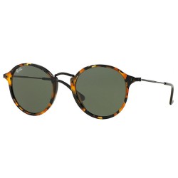 Ray-Ban 2447 kolor 1157 rozmiar 49