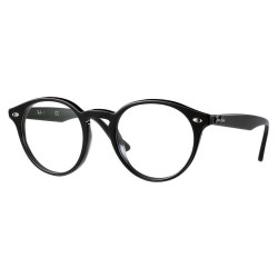 Ray-Ban 2180V kolor 2000 rozmiar 49 Ray-Ban 2180V kolor 2000 rozmiar 49