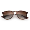 Ray-Ban 4171 ERIKA kolor 710/T5 rozmiar 54